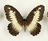  ( - CTBB-3694)  @11 [ ] Copyright © (2023) Th. Bouyer Research Collection of Thierry Bouyer