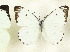  ( - CTBB-3715)  @11 [ ] Copyright © (2023) Th. Bouyer Research Collection of Thierry Bouyer