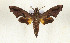  ( - CTBB-3722)  @11 [ ] Copyright © (2023) Th. Bouyer Research Collection of Thierry Bouyer