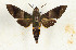  ( - CTBB-3723)  @11 [ ] Copyright © (2023) Th. Bouyer Research Collection of Thierry Bouyer