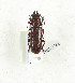  ( - CTBB-3765)  @11 [ ] Copyright © (2022) Th. Bouyer research collection of Th. Bouyer
