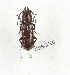  ( - CTBB-3766)  @11 [ ] Copyright © (2022) Th. Bouyer research collection of Th. Bouyer