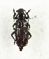  ( - CTBB-3767)  @11 [ ] Copyright © (2022) Th. Bouyer research collection of Th. Bouyer