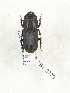  ( - CTBB-3779)  @11 [ ] Copyright © (2022) Th. Bouyer research collection of Th. Bouyer