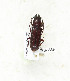  ( - CTBB-3869)  @11 [ ] Copyright © (2023) Thierry Bouyer Research Collection of Thierry Bouyer