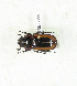  ( - CTBB-3884)  @11 [ ] Copyright © (2023) Thierry Bouyer Research Collection of Thierry Bouyer