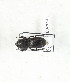  ( - CTBB-3894)  @11 [ ] Copyright © (2023) Thierry Bouyer Research Collection of Thierry Bouyer