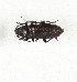  ( - CTBB-3910)  @11 [ ] Copyright © (2023) Thierry Bouyer Research Collection of Thierry Bouyer