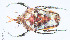  ( - CTBB-3925)  @11 [ ] Copyright © (2023) Thierry Bouyer Research Collection of Thierry Bouyer