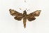  ( - CTBB-3950)  @11 [ ] Copyright © (2023) Thierry Bouyer Research Collection of Thierry Bouyer