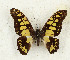  ( - CTBB-4166)  @11 [ ] Copyright © (2023) Thierry Bouyer Research Collection of Thierry Bouyer