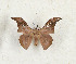  ( - CTBB-4190)  @11 [ ] Copyright © (2023) Thierry Bouyer Research Collection of Thierry Bouyer
