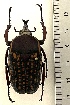  ( - CTBB-4224)  @11 [ ] Copyright © (2023) Thierry Bouyer Research Collection of Thierry Bouyer