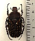 ( - CTBB-4225)  @11 [ ] Copyright © (2023) Thierry Bouyer Research Collection of Thierry Bouyer