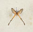  ( - CTBB-4234)  @11 [ ] Copyright © (2023) Thierry Bouyer Research Collection of Thierry Bouyer