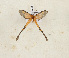  ( - CTBB-4235)  @11 [ ] Copyright © (2023) Thierry Bouyer Research Collection of Thierry Bouyer