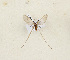  ( - CTBB-4239)  @11 [ ] Copyright © (2023) Thierry Bouyer Research Collection of Thierry Bouyer