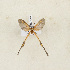  ( - CTBB-4240)  @11 [ ] Copyright © (2023) Thierry Bouyer Research Collection of Thierry Bouyer