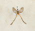  ( - CTBB-4241)  @11 [ ] Copyright © (2023) Thierry Bouyer Research Collection of Thierry Bouyer
