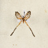  ( - CTBB-4243)  @11 [ ] Copyright © (2023) Thierry Bouyer Research Collection of Thierry Bouyer