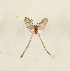  ( - CTBB-4244)  @11 [ ] Copyright © (2023) Thierry Bouyer Research Collection of Thierry Bouyer
