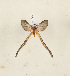  ( - CTBB-4245)  @11 [ ] Copyright © (2023) Thierry Bouyer Research Collection of Thierry Bouyer