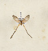  ( - CTBB-4246)  @11 [ ] Copyright © (2023) Thierry Bouyer Research Collection of Thierry Bouyer
