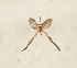  ( - CTBB-4247)  @11 [ ] Copyright © (2023) Thierry Bouyer Research Collection of Thierry Bouyer