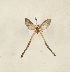  ( - CTBB-4248)  @11 [ ] Copyright © (2023) Thierry Bouyer Research Collection of Thierry Bouyer