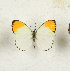  ( - CTBB-4257)  @11 [ ] Copyright © (2023) Thierry Bouyer Research Collection of Thierry Bouyer