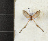 ( - CTBB-4267)  @11 [ ] Copyright © (2023) Thierry Bouyer Research Collection of Thierry Bouyer
