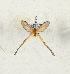  ( - CTBB-4269)  @11 [ ] Copyright © (2023) Thierry Bouyer Research Collection of Thierry Bouyer