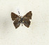  ( - CTBB-4449)  @11 [ ] Copyright © (2025) Thierry Bouyer Research Collection of Thierry Bouyer