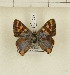  ( - CTBB-1222)  @14 [ ] Copyright (2014) Thierry Bouyer Research Collection of Thierry Bouyer
