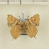  ( - CTBB-1227)  @14 [ ] Copyright (2014) Thierry Bouyer Research Collection of Thierry Bouyer