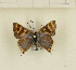  ( - CTBB-1230)  @14 [ ] Copyright (2014) Thierry Bouyer Research Collection of Thierry Bouyer