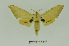  ( - CTBB-1685)  @14 [ ] Copyright (2015) Pierre Schmit Research Collection of Pierre Schmit