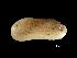  ( - MNHN-IM-2007-40225)  @14 [ ] Unspecified (default): All Rights Reserved  Unspecified Unspecified
