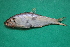  ( - MAK-225C)  @11 [ ] CreativeCommons-Attribution Non-Commercial Share-Alike (2020) Dr.Arif Muhammad Khan University of Sargodha ,Sargodha ,Pakistan