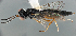  ( - FSCA 00094151)  @11 [ ] CreativeCommons - Attribution Share-Alike (2023) Unspecified Florida Department of Agriculture and Consumer Services, Division of Plant Industry