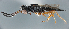  ( - FSCA 00094151)  @11 [ ] CreativeCommons - Attribution Share-Alike (2023) Unspecified Florida Department of Agriculture and Consumer Services, Division of Plant Industry