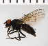  ( - SV1211)  @13 [ ] CreativeCommons - Attribution Share-Alike (2014) Natural History Museum, University of Oslo Natural History Museum, University of Oslo