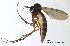  ( - SV576)  @13 [ ] CreativeCommons - Attribution Non-Commercial Share-Alike (2012) NTNU Museum of Natural History and Archaeology NTNU Museum of Natural History and Archaeology