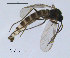  ( - SV579)  @12 [ ] CreativeCommons - Attribution Non-Commercial Share-Alike (2012) NTNU Museum of Natural History and Archaeology NTNU Museum of Natural History and Archaeology