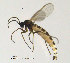  ( - SV588)  @13 [ ] CreativeCommons - Attribution Non-Commercial Share-Alike (2012) NTNU Museum of Natural History and Archaeology NTNU Museum of Natural History and Archaeology