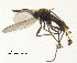 ( - SV592)  @13 [ ] CreativeCommons - Attribution Non-Commercial Share-Alike (2012) NTNU Museum of Natural History and Archaeology NTNU Museum of Natural History and Archaeology