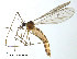 ( - SV598)  @13 [ ] CreativeCommons - Attribution Non-Commercial Share-Alike (2012) NTNU Museum of Natural History and Archaeology NTNU Museum of Natural History and Archaeology