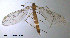  ( - SV602)  @11 [ ] CreativeCommons - Attribution Non-Commercial Share-Alike (2012) NTNU Museum of Natural History and Archaeology NTNU Museum of Natural History and Archaeology
