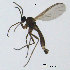  ( - SV608)  @13 [ ] CreativeCommons - Attribution Non-Commercial Share-Alike (2012) NTNU Museum of Natural History and Archaeology NTNU Museum of Natural History and Archaeology