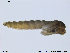  ( - SV663)  @12 [ ] CreativeCommons - Attribution Non-Commercial Share-Alike (2012) NTNU Museum of Natural History and Archaeology NTNU Museum of Natural History and Archaeology
